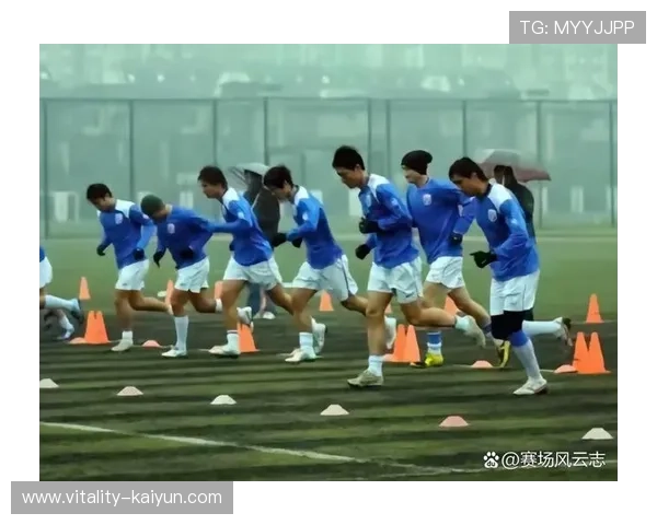 足球场地过大看不见球星的现象背后原因与解决之道分析